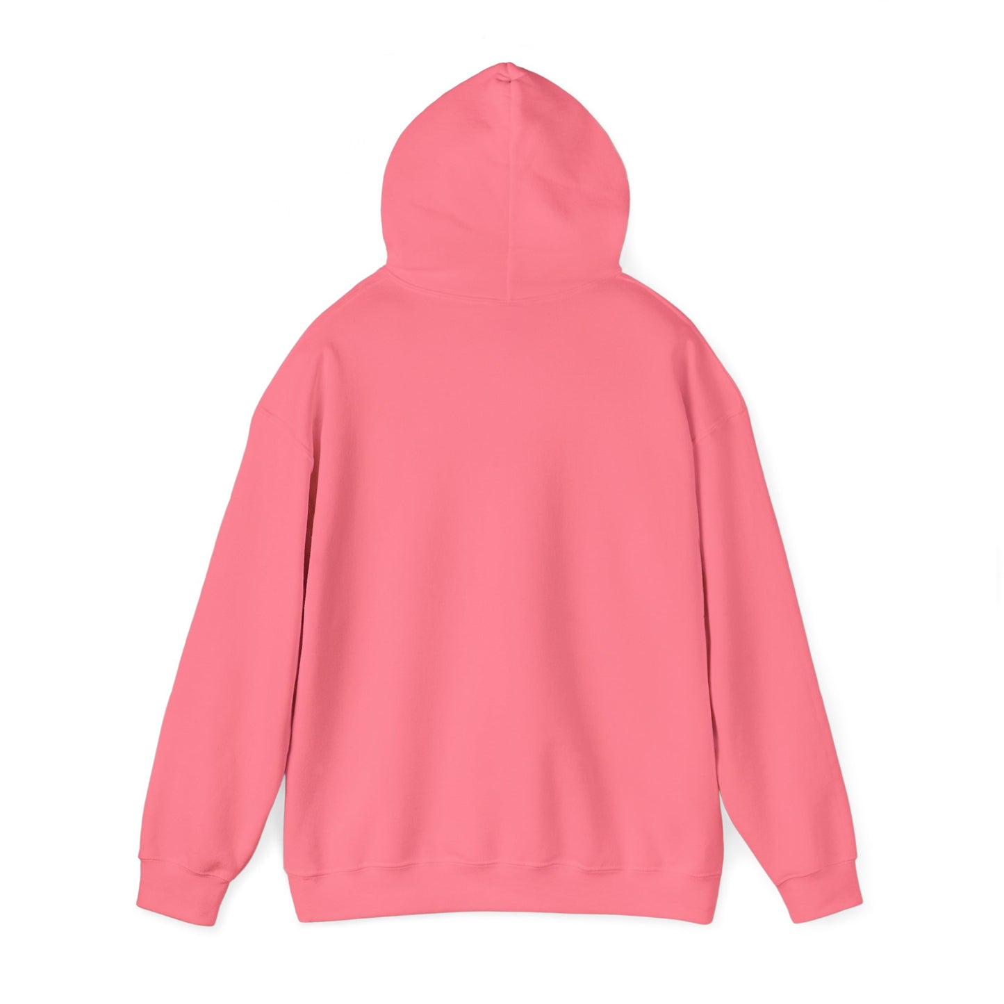 MisterBehave Logo Hoodie
