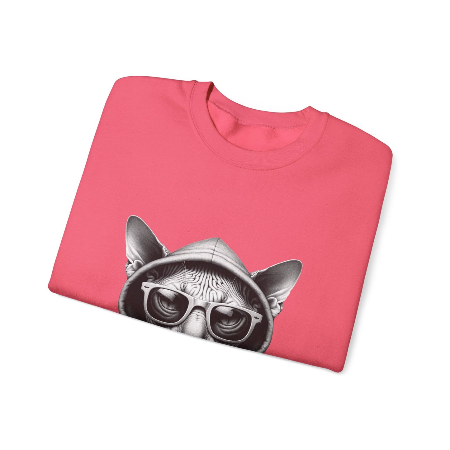 Sphynx Cat Sweatshirt