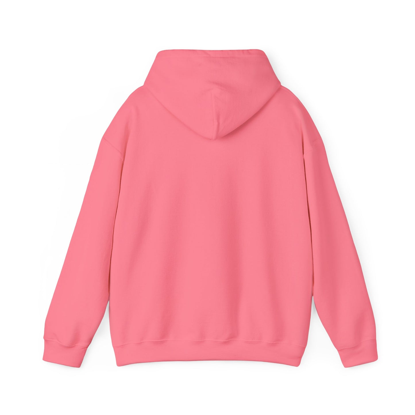 MisterBehave Logo Hoodie